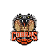 https://img.loicelamba.com/img/basketball/team/61b201b26d4f255260e9ed77d47b8b19.png