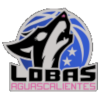 https://img.loicelamba.com/img/basketball/team/92666ec350a8ed831446350538a6532a.png