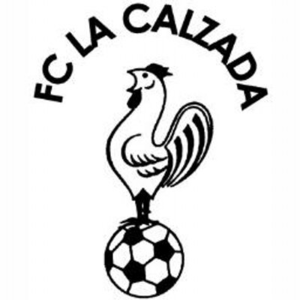 https://img.loicelamba.com/img/football/team/93ae73263044772f212db7c0f24585e9.png